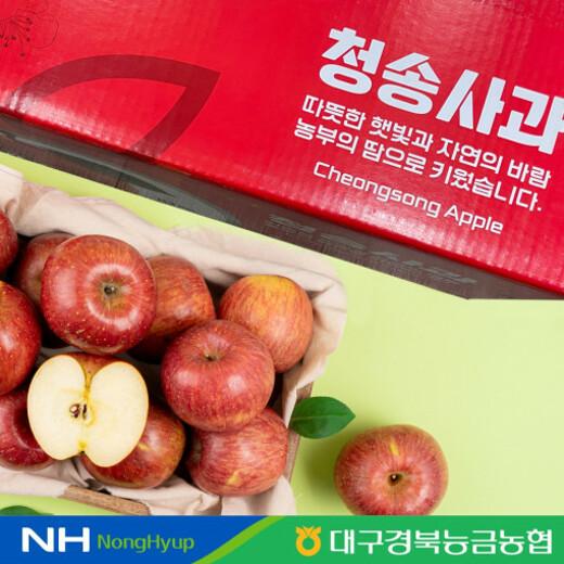 청송 꿀사과 햇부사 3kg 중소과 12-15과