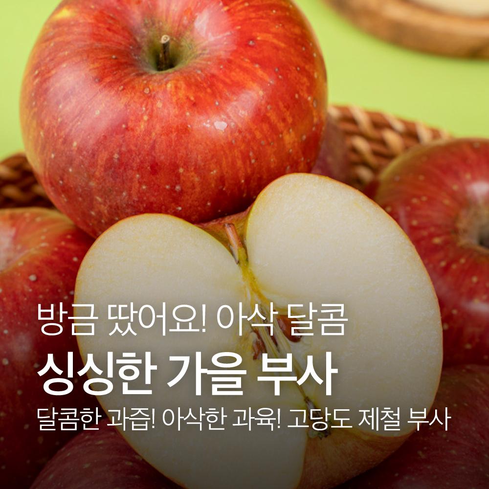 청송 꿀사과